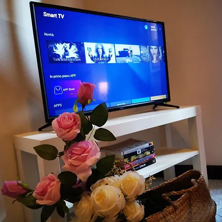 B&B Chafbius *